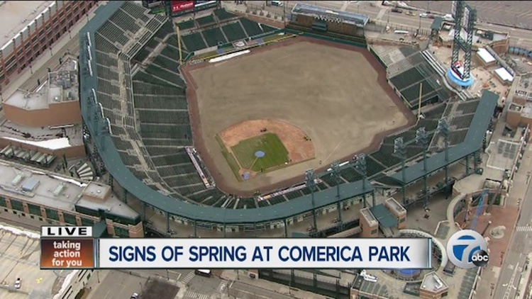 comerica park being resod